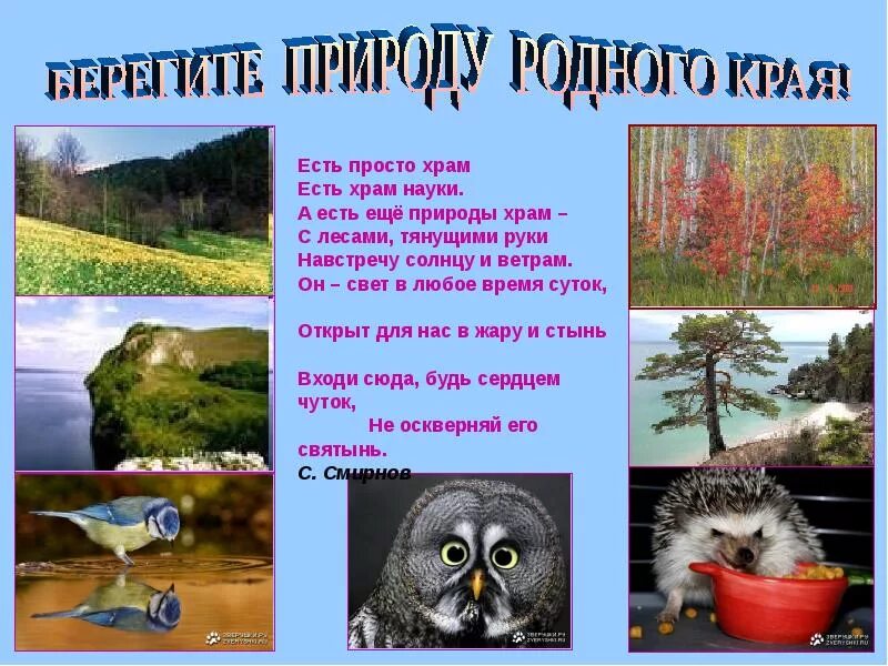 Природа родного края. Берегите природу. Сохраним природу родного края. Охрана природы в нашем крае.