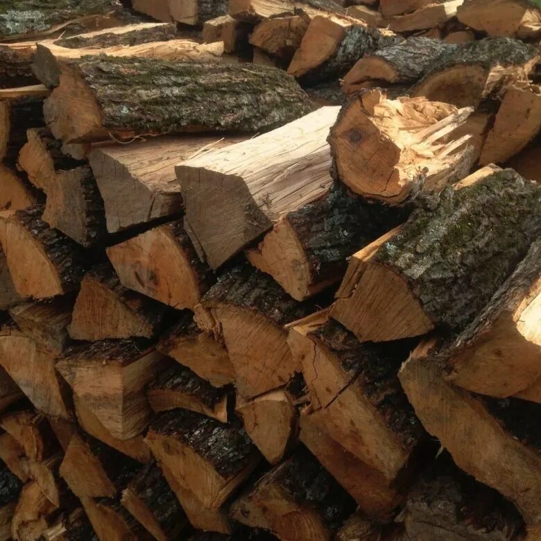 Дуб полено. Дрова. Дуб полено. Дрова еловые. Дрова из акации.