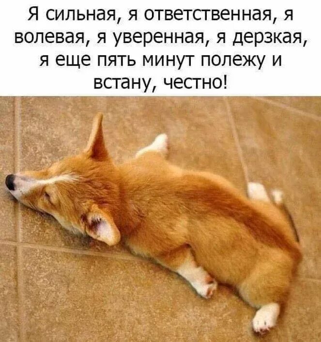 Уж не встаю
