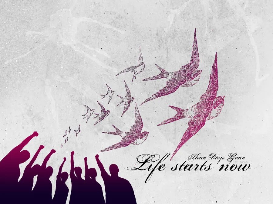 Альбомы three. Three Days Grace обложки альбомов. Three Days Grace 1 альбом. Three Days Grace обложка. Three Days Grace Life starts Now альбом.