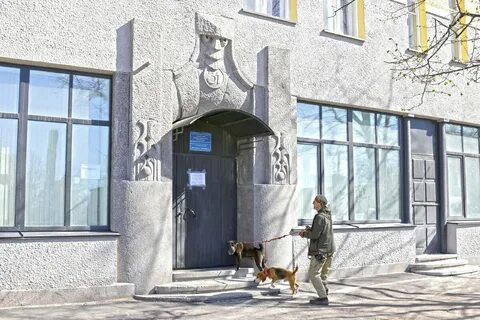 Сайт дворец творчества выборг