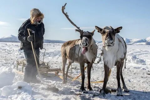 Якутия полюс холода оймякон