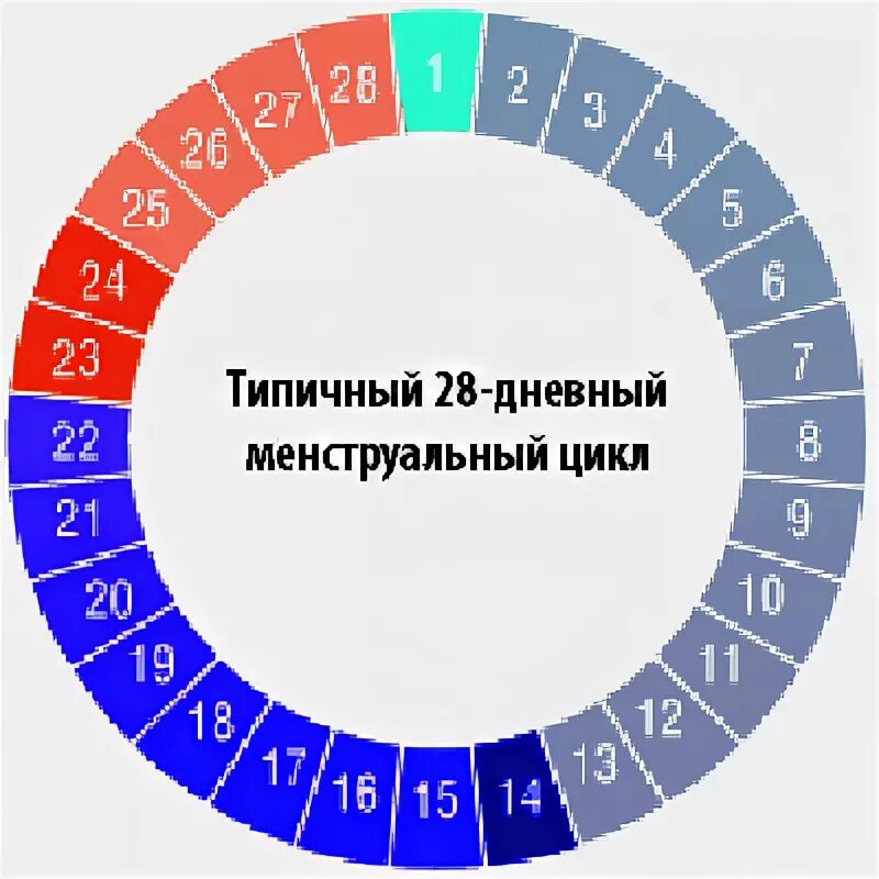 Правильный цикл