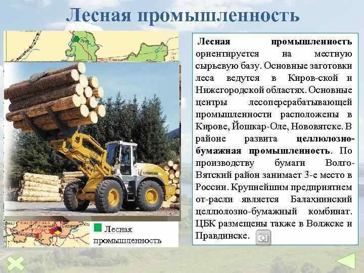 9 класс география. Продукция лесной промышленности. Основные отрасли лесной промышленности. Основные отрасли лесной промышленности. Этапы лесной промышленности.