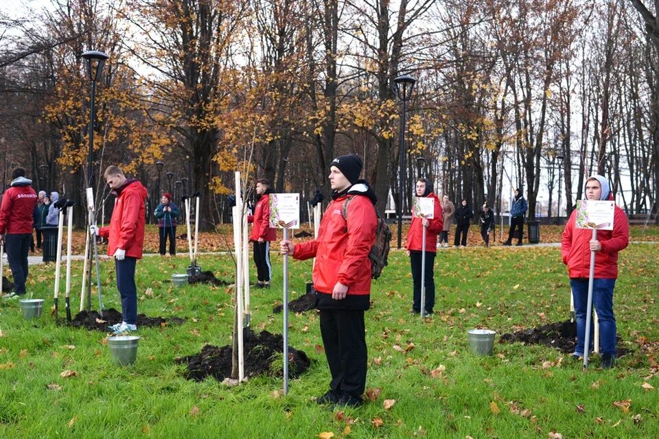 Высадили участника сво. Церемония в парке Победы 8 ноября. Высадка деревьев в парке ветеранов Вологда. Сквер Орел. Сад памяти 2022 акция.