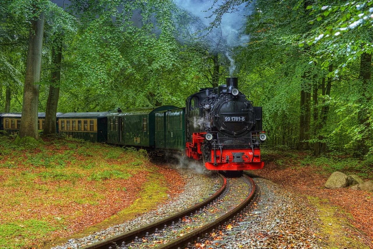 Паровоз КБЖД. Поезд в лесу. Железная дорога в лесу. Паровоз в лесу.
