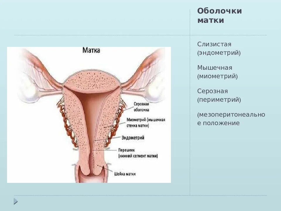 Параметрий это