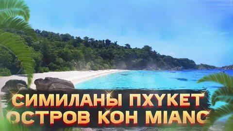 Антошка тур экскурсии