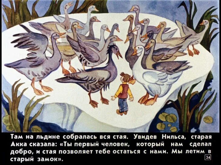 Слушать приключения нильса с дикими. Слушать приключения нильса с дикими