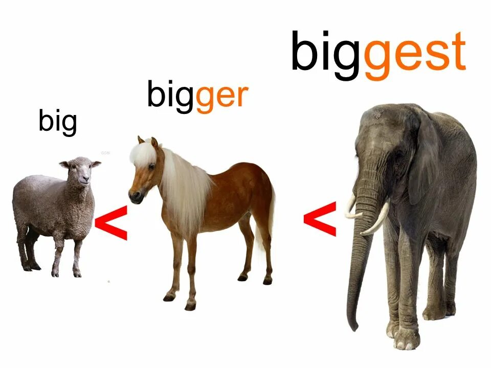 Английский big bigger biggest. Биг Биггер Биггест. Big bigger the biggest Flashcards. Bigger and bigger примеры. Wordwall big bigger