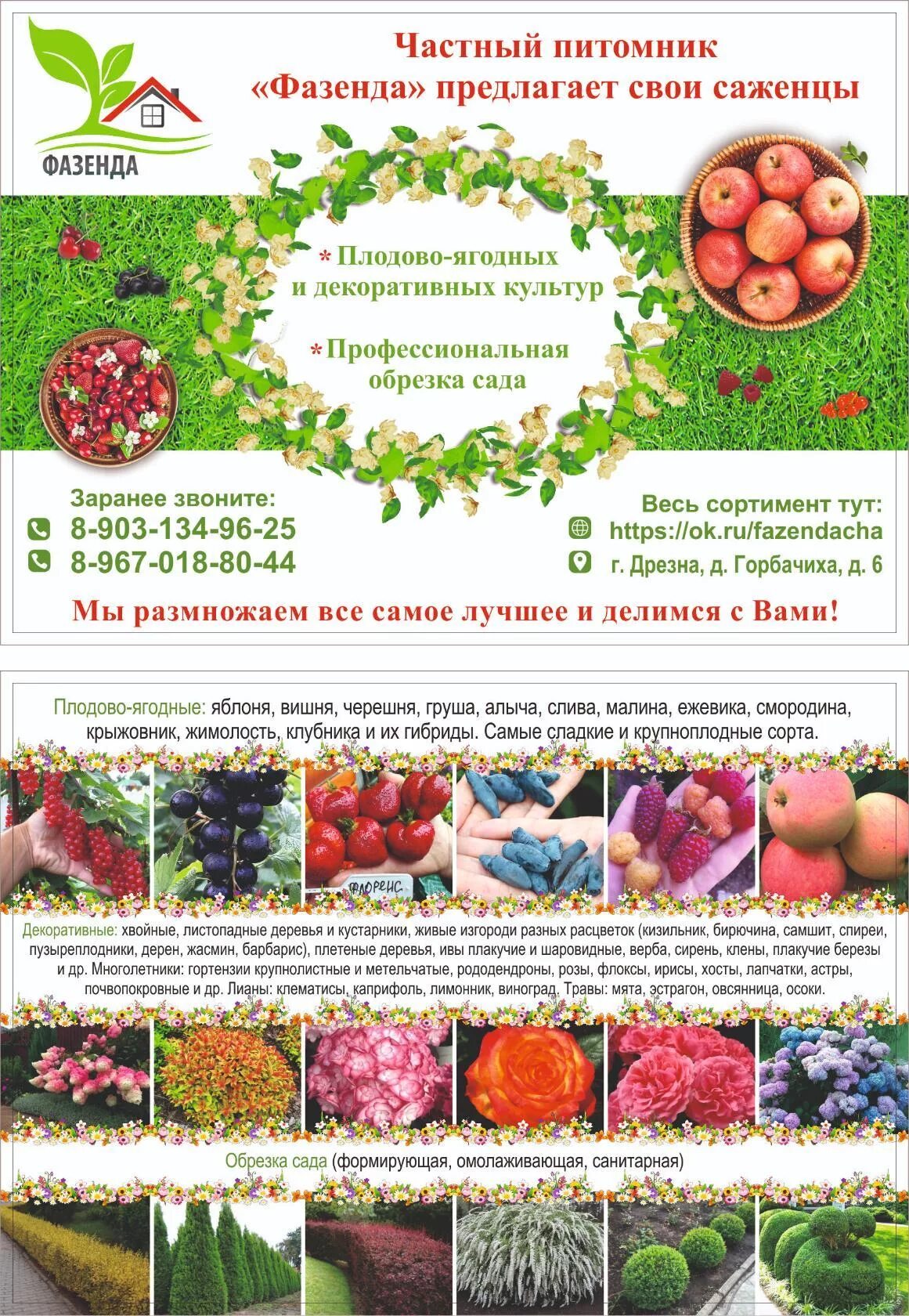 Питомник солдатов давыдовское. Частный питомник. частный питомник фазенда. питомник саженцев. питомник ягодных культур.