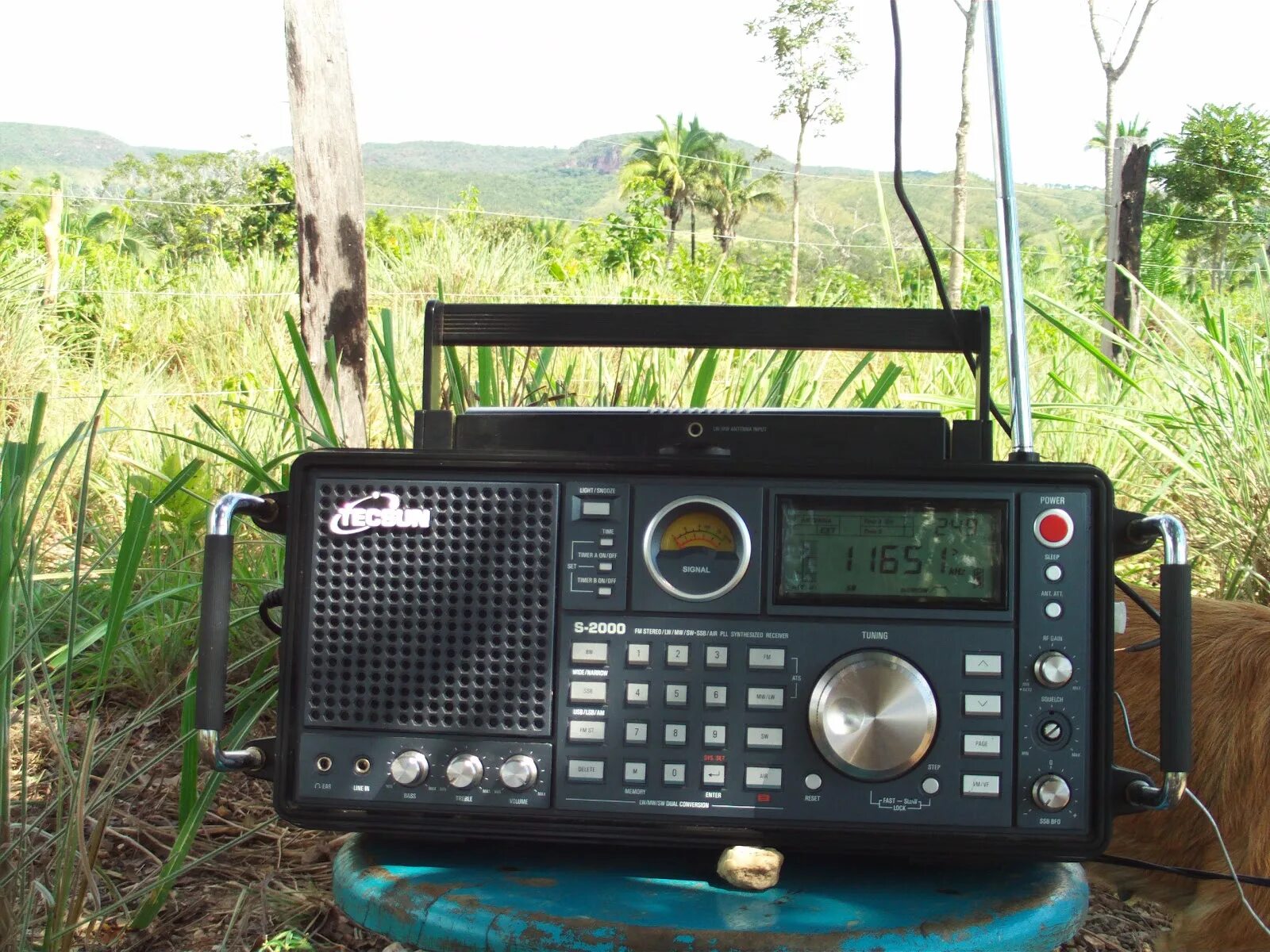 Приемник tecsun s2000. Радиоприемник s. Радиоприемник philips or2000m/12. Радиоприемник sony icf-sw11s. Цифровой радиоприемник sony xdr-s61.