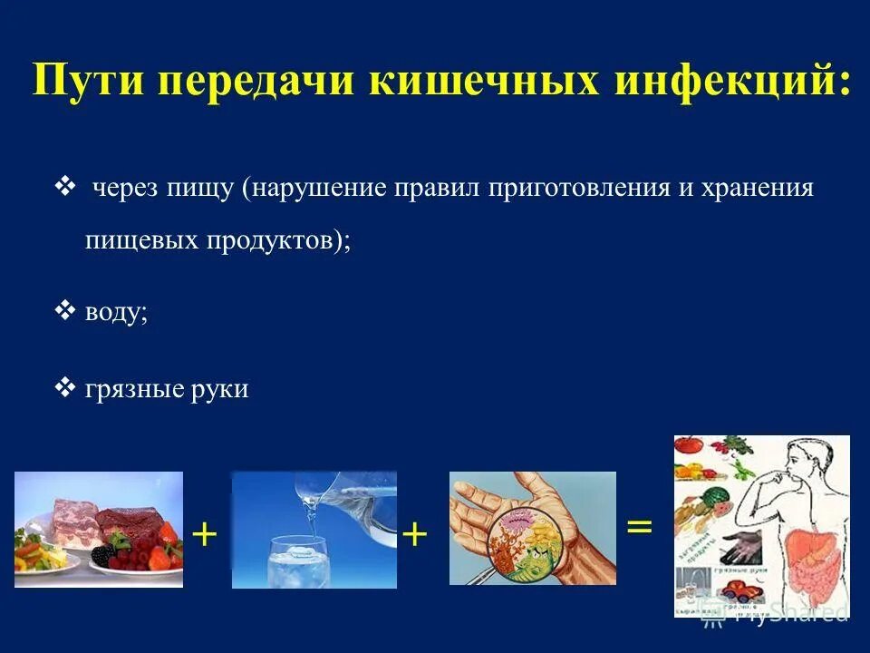 Источниками кишечных инфекций могут являться больные. Возможные пути передачи возбудителей кишечных инфекций:. Механизм передачи при кишечных инфекциях. Основной путь передачи возбудителей кишечных инфекций. Факторы передачи инфекции желудочно-кишечного тракта.