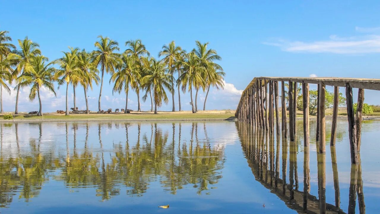 Калпития Шри Ланка. Путталам Шри Ланка. Atara Lagoon Kalpitiya Шри Ланка. Калпития Шри Ланка фото. Шри ланка запад