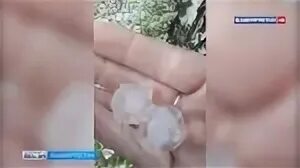 В башкирии выпал