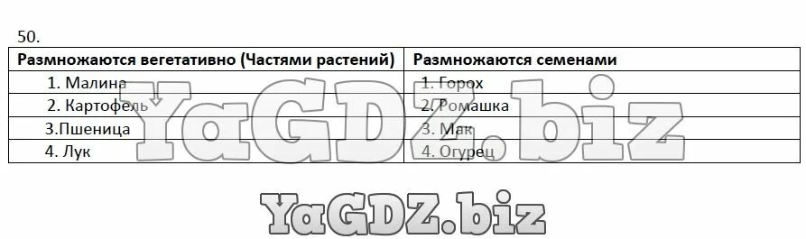 Размножение растений 6 класс тест с ответами. Размножаются вегетативно частями растения размножаются семенами. Заполни таблицу размножаются вегетативно. Заполни таблицу размножаются вегетативно и размножаются. Заполни таблицу размножаются вегетативно частями растения.