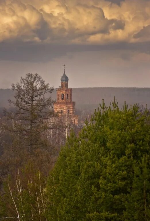 Село сенницы. Церковь в селе сенницы. Усадьба сенницы графа келлера. Храм вознесения господня сенницы. Усадьба сенницы коломна.