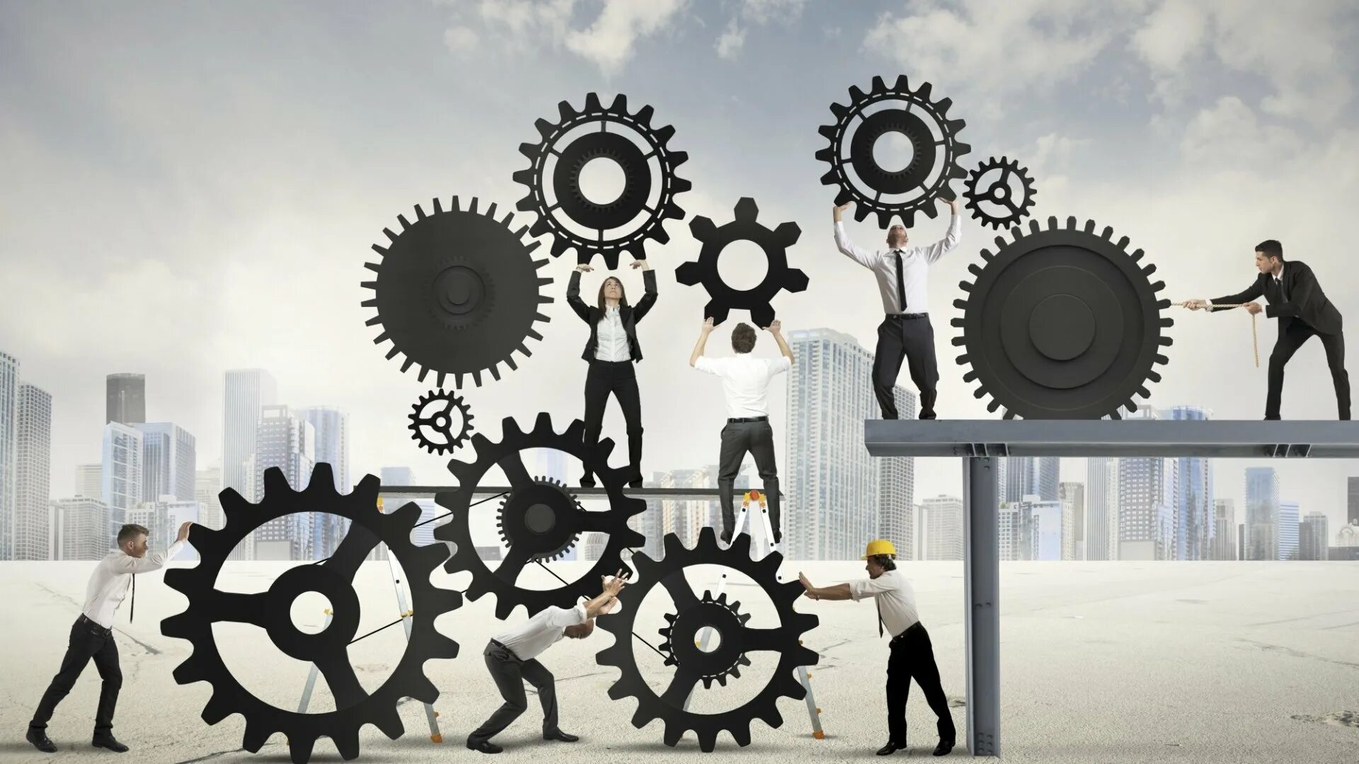 Organization performance