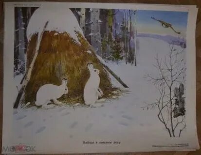 Картина зайцы в зимнем лесу