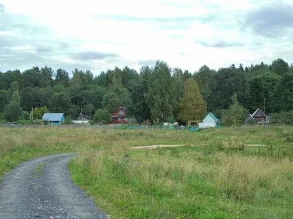 Деревня лужки московская область