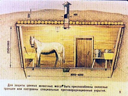Ценность животных