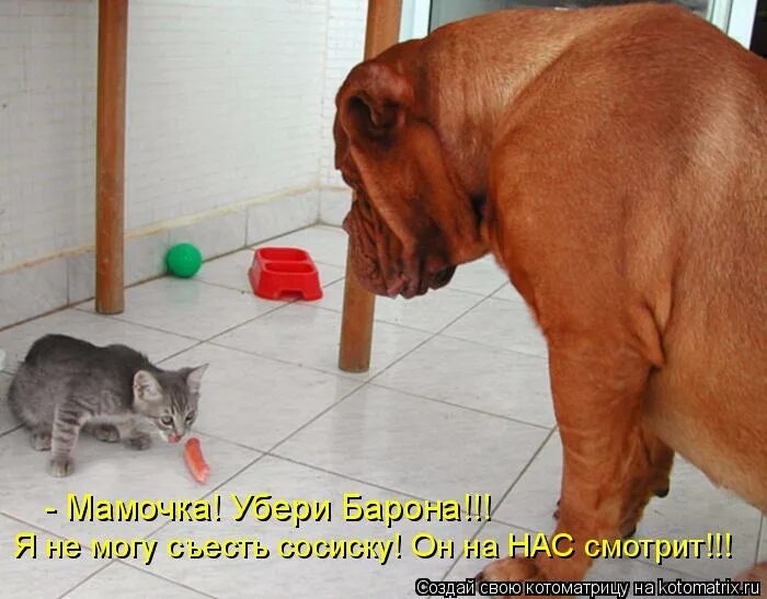 Мочь неожиданно. Демотиваторы. Опасности для пешеходов. Чувства наизнанку силы на износ статусы в картинках. Как появляется шаровая молния.