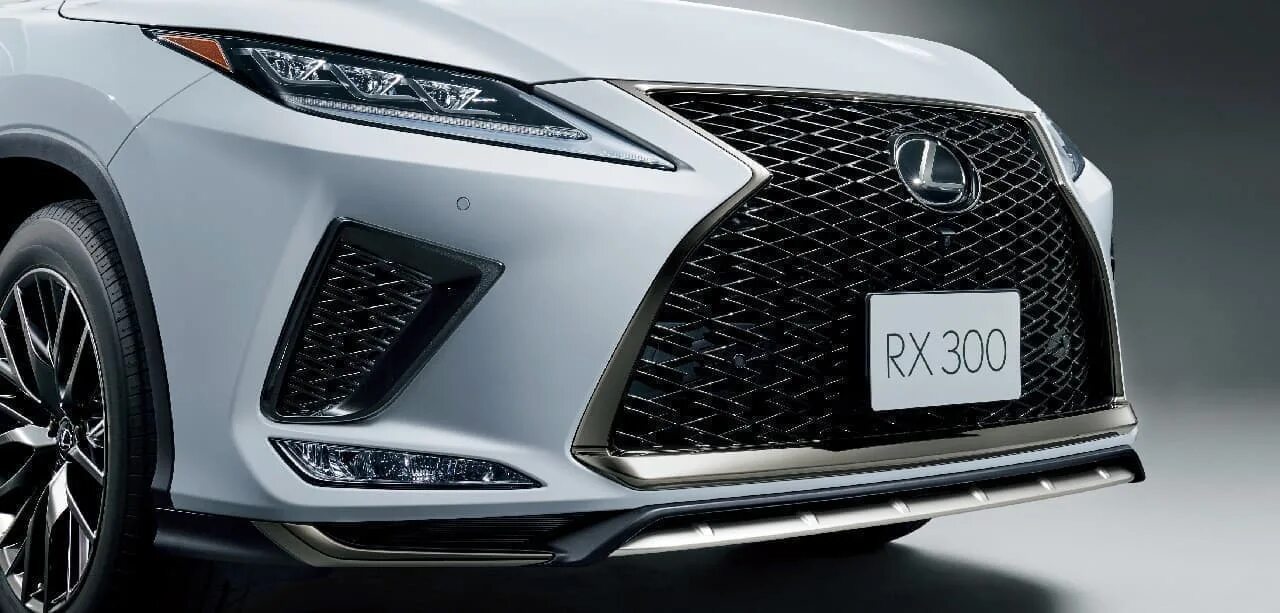 Lexus rx300 2019 f Sport. Lexus rx300 f Sport 2018. Лексус РХ 300 F Sport. Лексус РХ 300 Ф спорт.