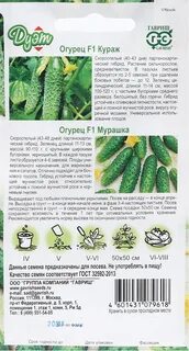 Огурец кураж описание сорта отзывы