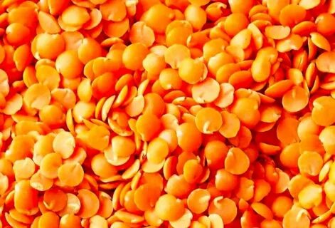 Чечевица пищевая