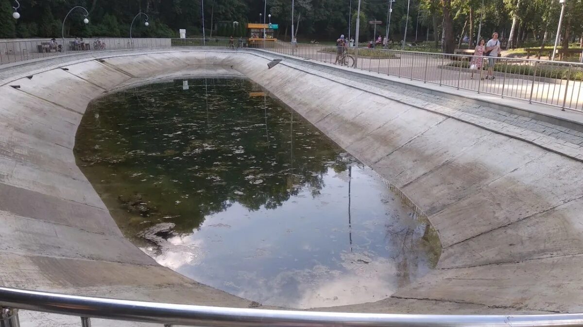 Объяснил без воды. Водоем Воронеж Динамо. Борисовские пруды ОСУШИЛИ. Озеро в Центральном парке Воронеж. Пруд в Центральном парке Воронежа.