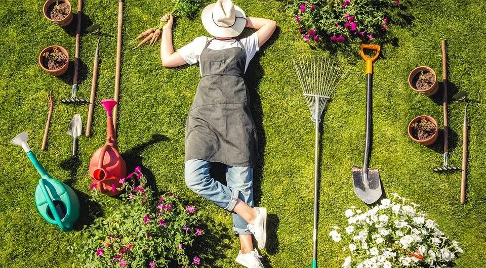 Огород 2021. Сад и огород. Товары для сада и огорода. Садовый инвентарь. Красивый сад и огород.