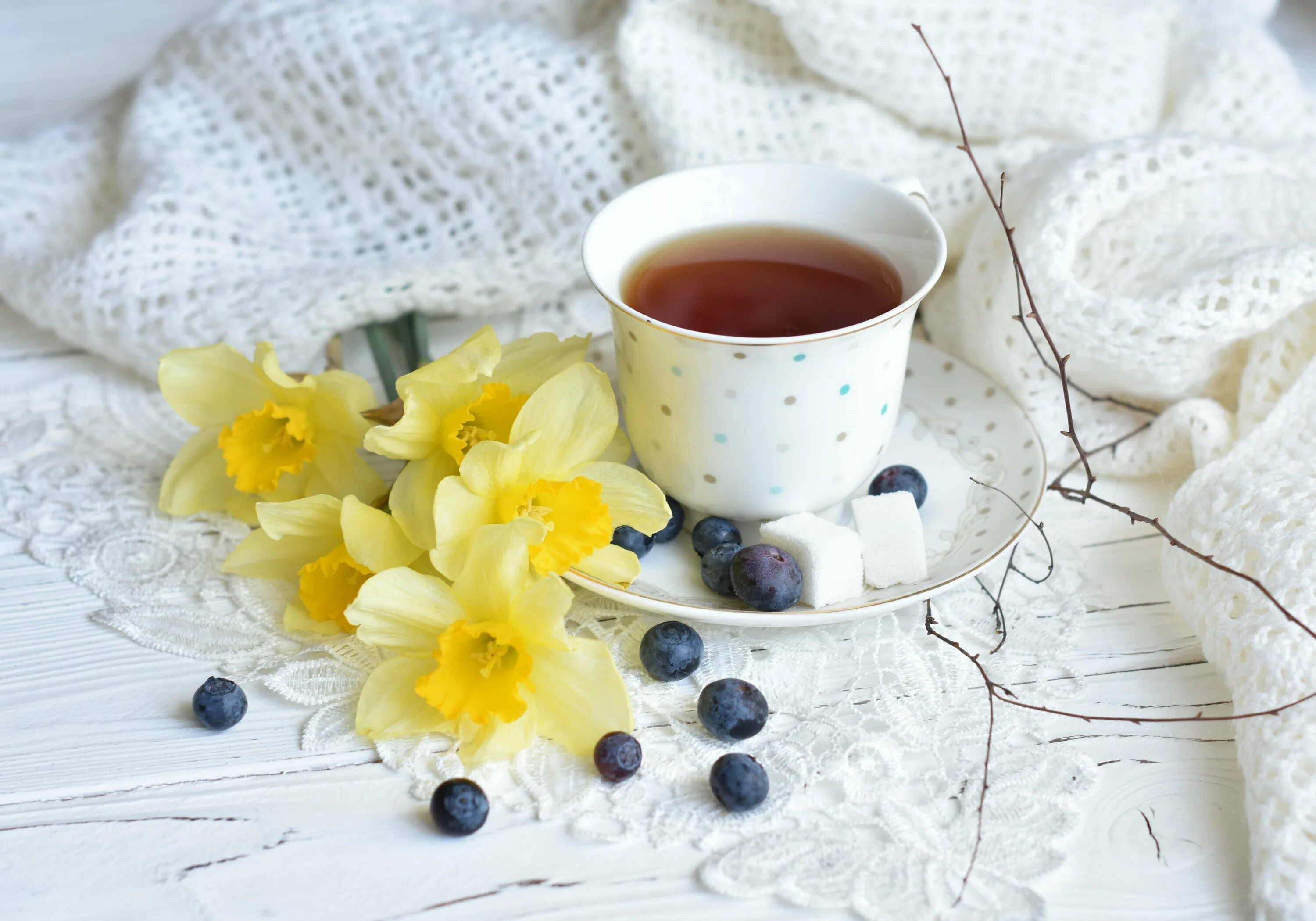 Весенний завтрак. Завтрак с цветами. Весеннее чаепитие. Доброе весеннее утро картинки креативные