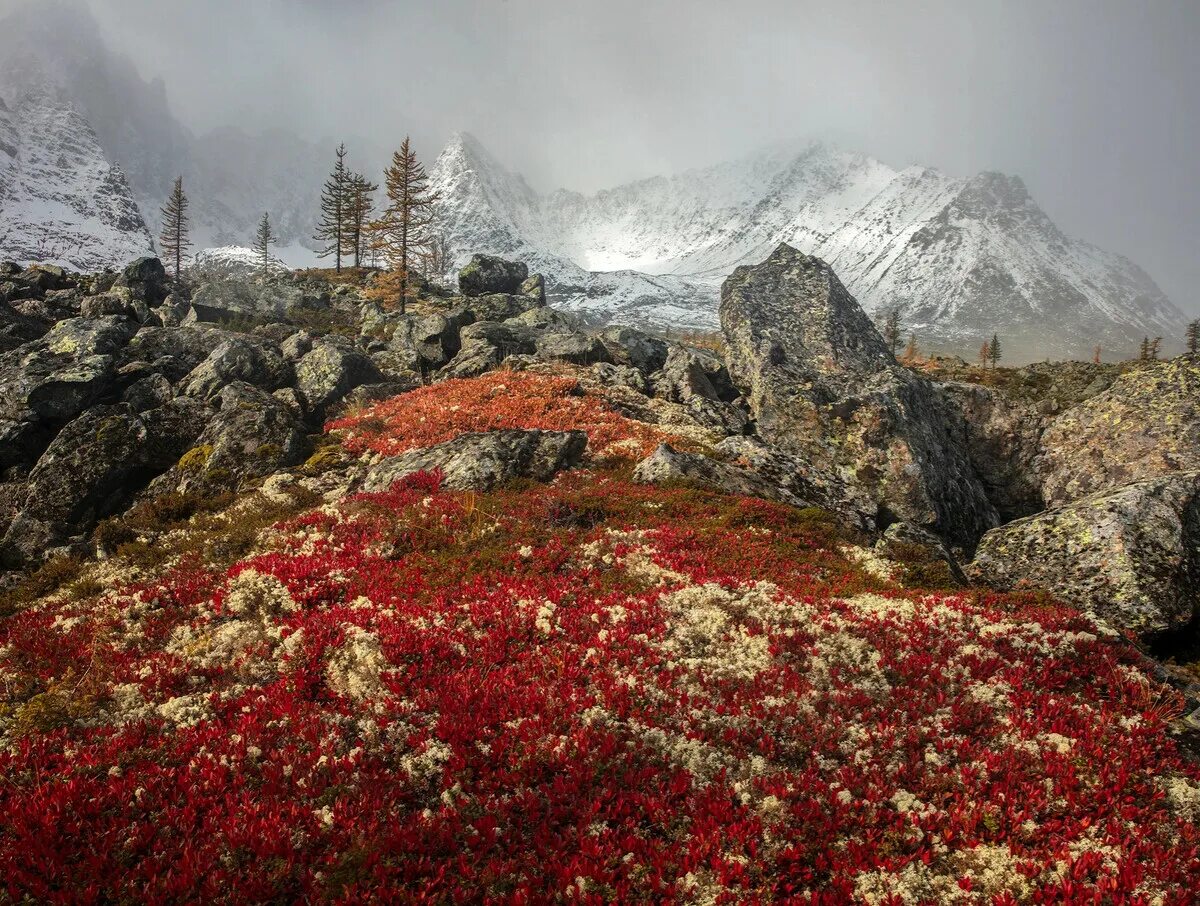 Россия в фотографиях русское географическое. Фото российского географического общества. Географическое общество фотоконкурс. Русское географическое общество фотоконкурс самая красивая Страна. Победители фотоконкурса русского географического общества.