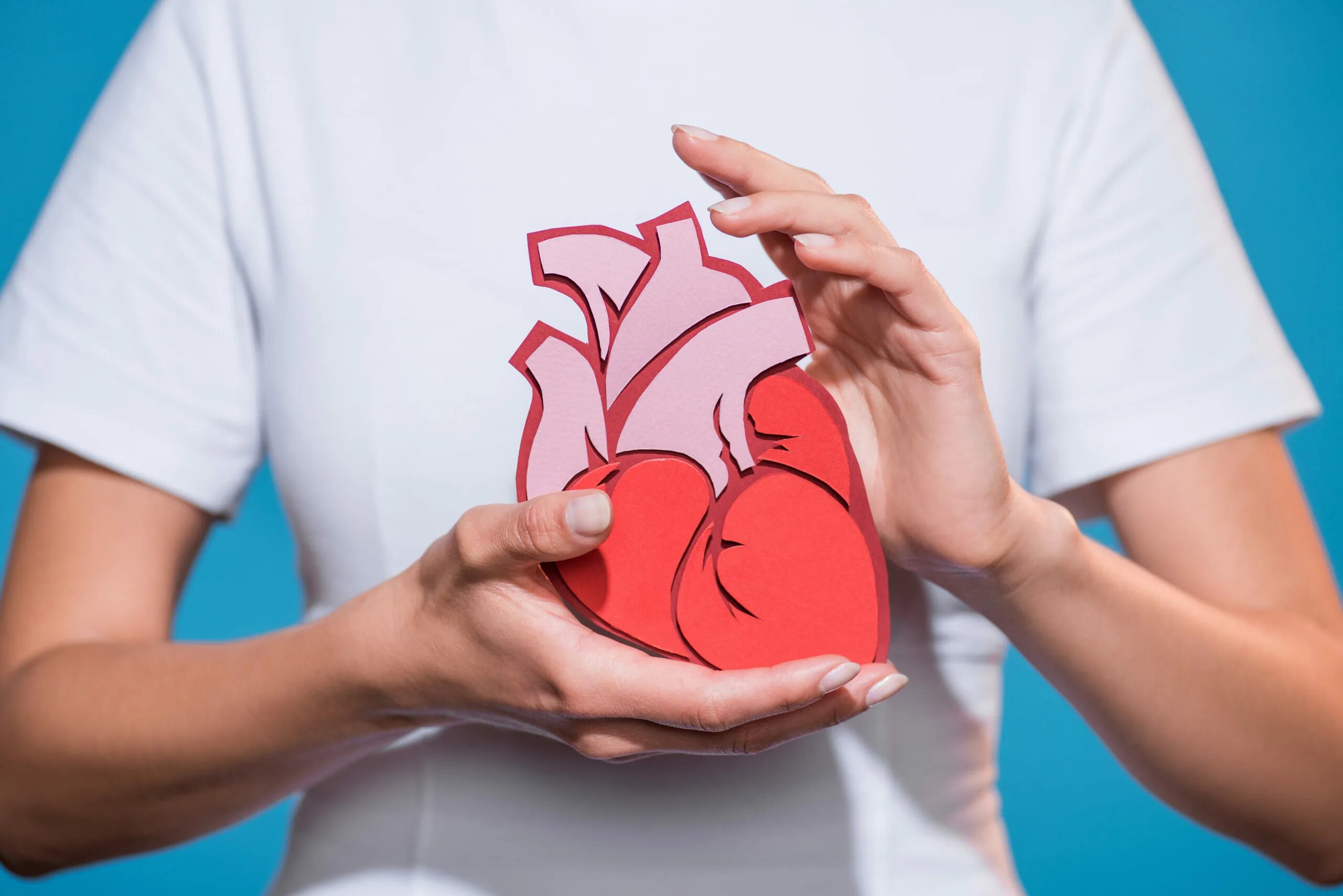 Heart can be