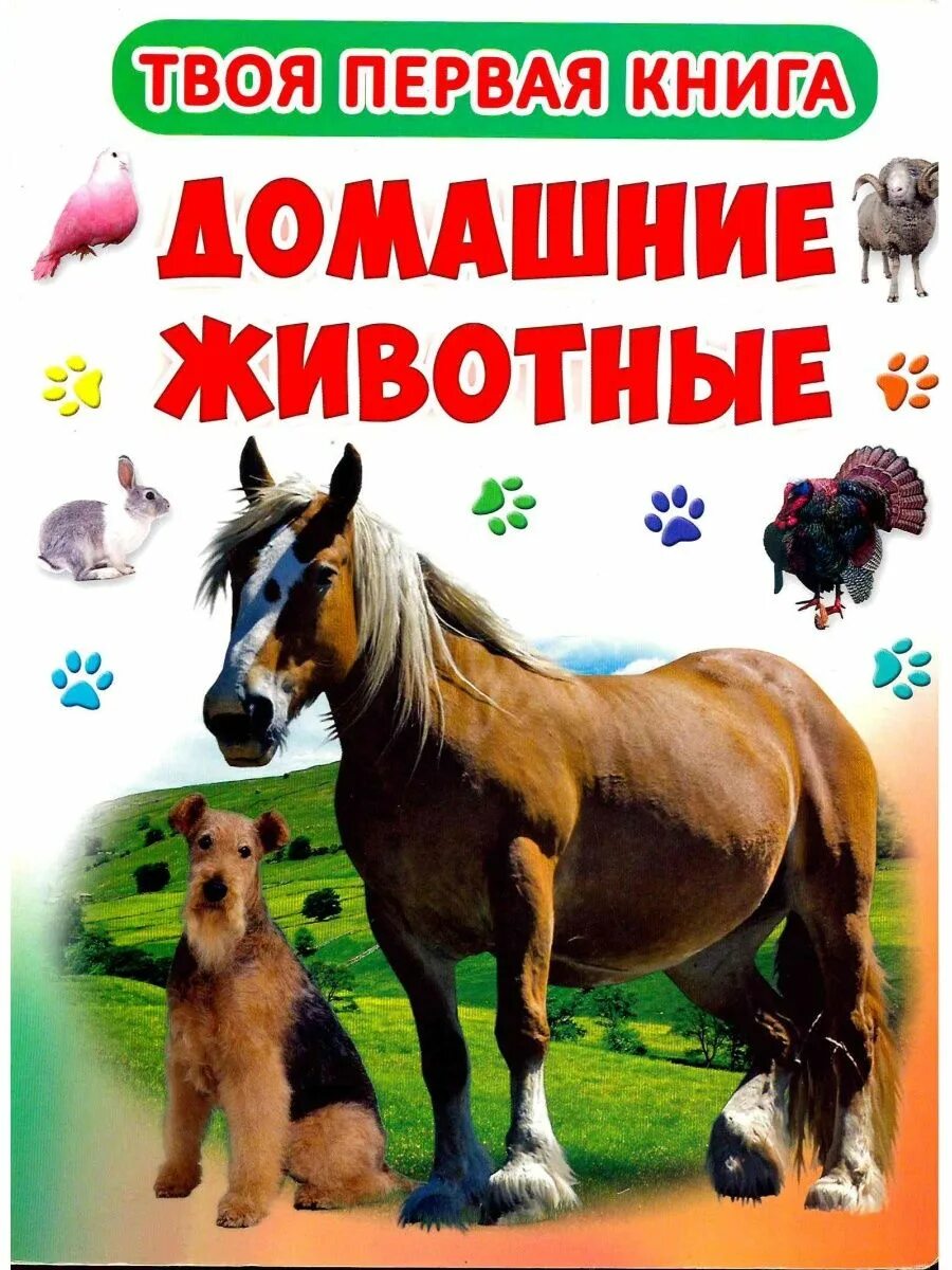 Удивительный мир животных книга. Книга животные в доме. Книга животные в доме. Книга животные у нас дома. Я познаю мир: животные в доме.