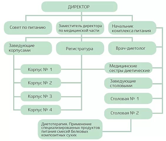 Принципы организации питания в стационаре нмо ответы. Схема организация питания в стационаре. организация лечебного питания в стационаре схема. модель организации питания пациента в стационаре. составить схему «организация питания в стационаре».