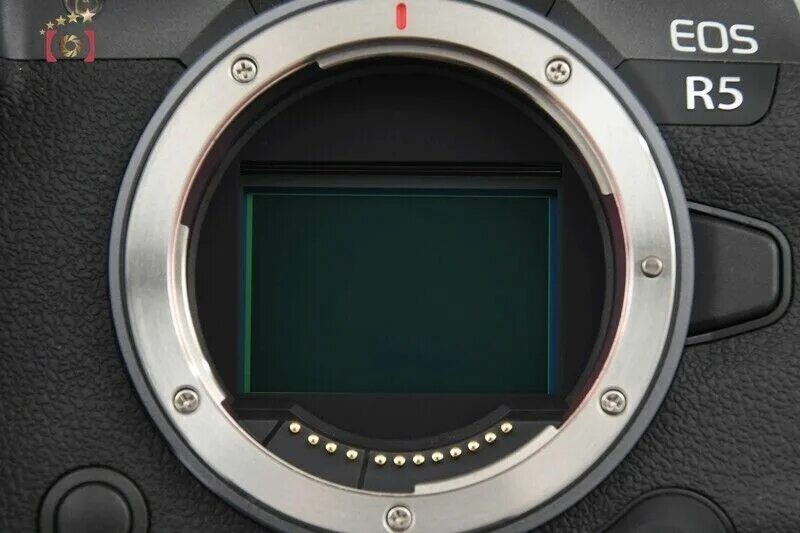 Как снимать на eos. Canon r5 body. матрица фотоаппарата canon. затвор на фотоаппарате кэнон. canon eos матрица.