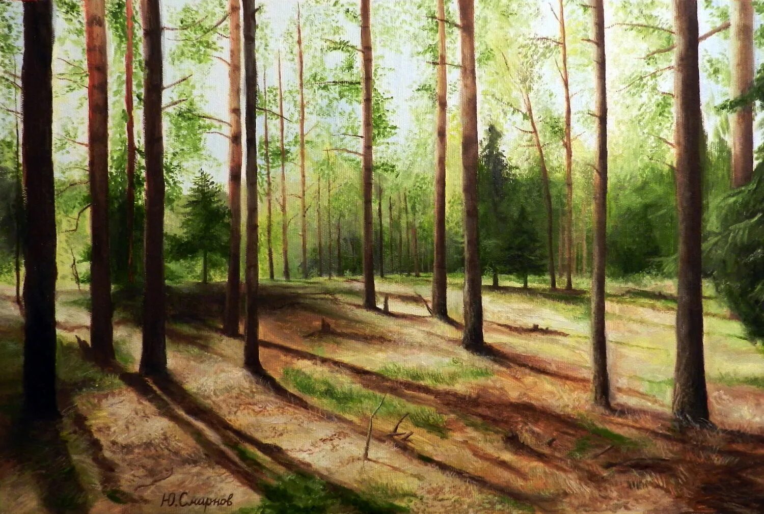 Realism fields forests