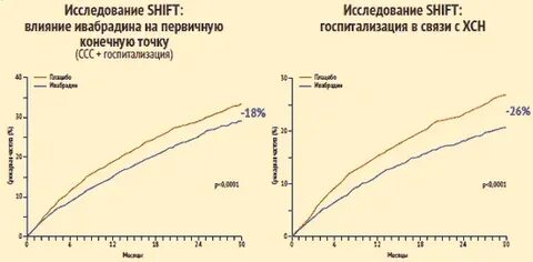 Частота сердечных сокращений у крыс