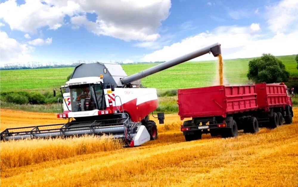 День поля. Комбайн deutz fahr c9300. Сельхозтехника вологодская область. Сельхозтехника вологодская область. Музей советской сельхозтехники.