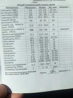 Л с ч что это