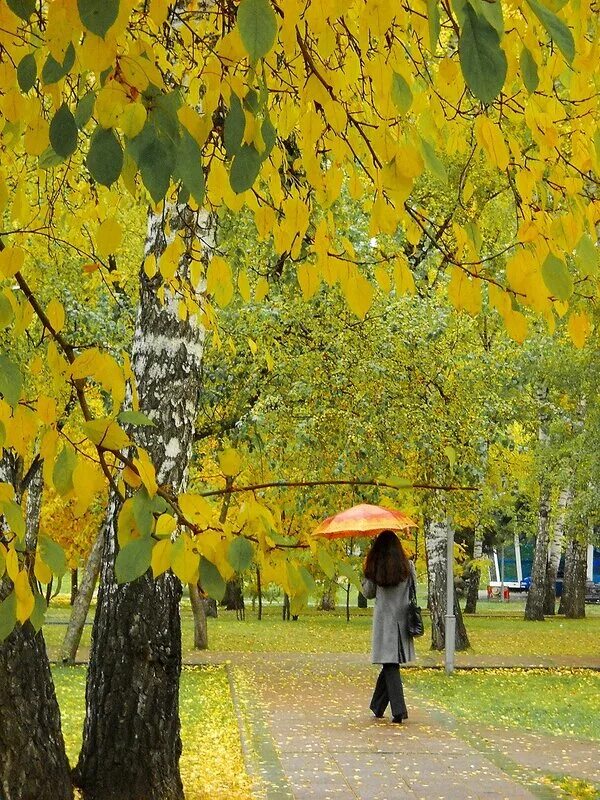 детские рисунки на тему лето. дождь в осеннем парке. дождь летом в городе. летний городской пейзаж живопись. снег в ижевске 1 июня.