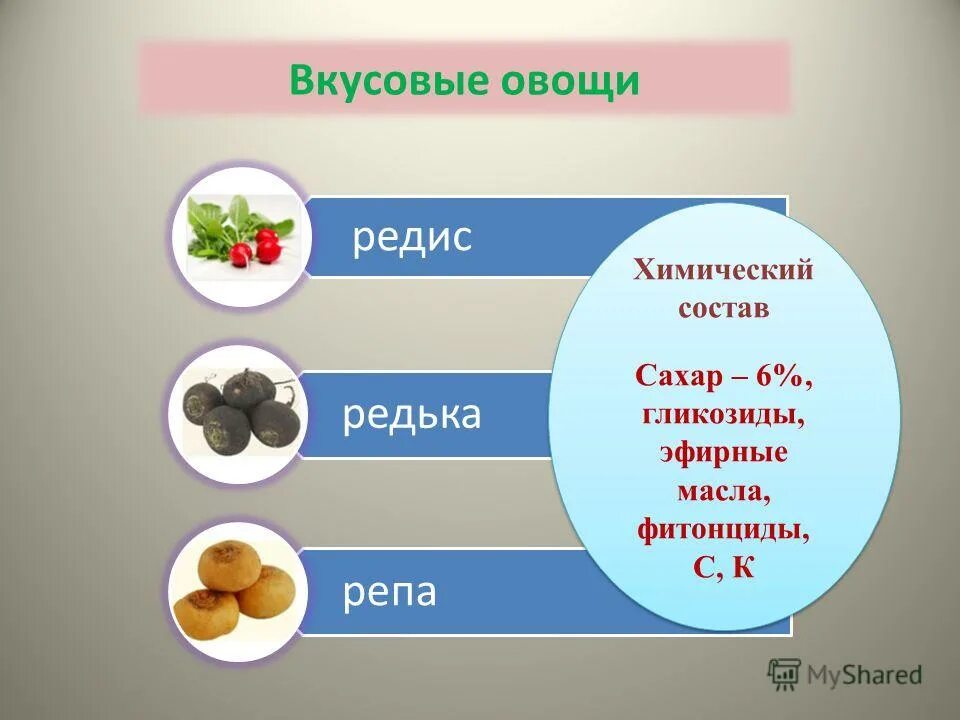 редька химический состав. редька химический состав. чем полезна редька. редька энергетическая ценность. чем полезна черная редька.