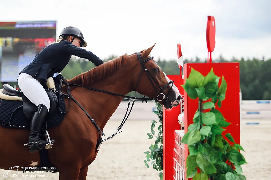 конный комплекс. кск петровское. цветы кск. цветы кск. кск эквиплан спорт.