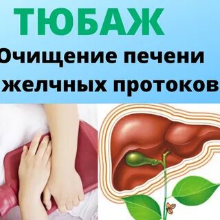 Как правильно сделать тюбаж печени