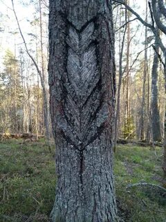 Метка дерево