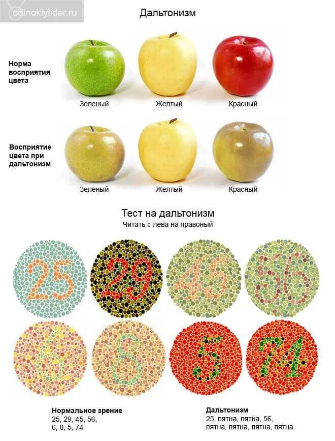 Винди не различает цвета