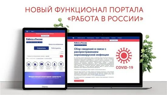 Информационный портал работа. Портал работа в россии. портал работа в россии не работает. обучение граждан работы с порталом работа в россии картинки.