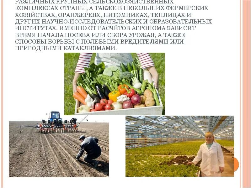 Агроном слайд. Сельскохозяйственные профессии для дошкольников. Агроном профессия. Агроном слайд. Агрономия профессия.