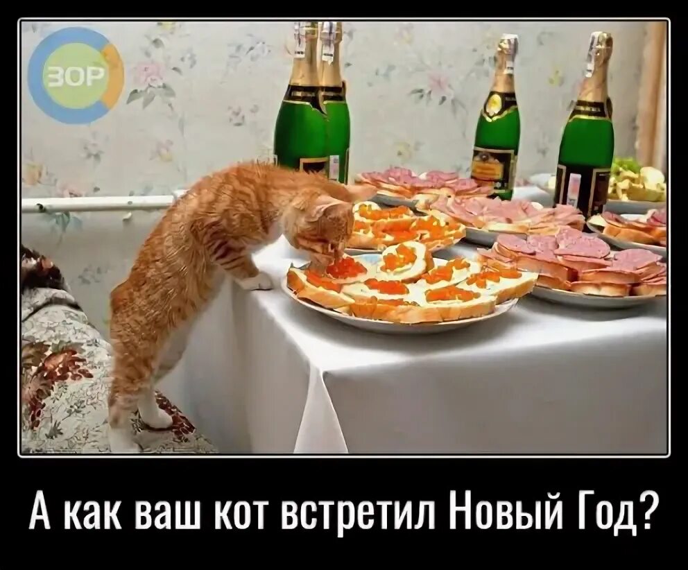 Удачно вошел